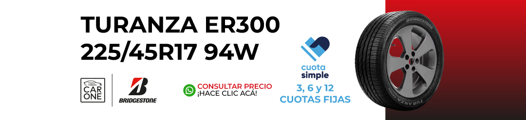 BannerWeb_TURANZA-ER300